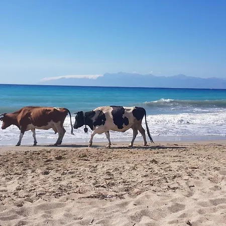 Nora, 2 דירה Agios Spyridon (Corfu)
